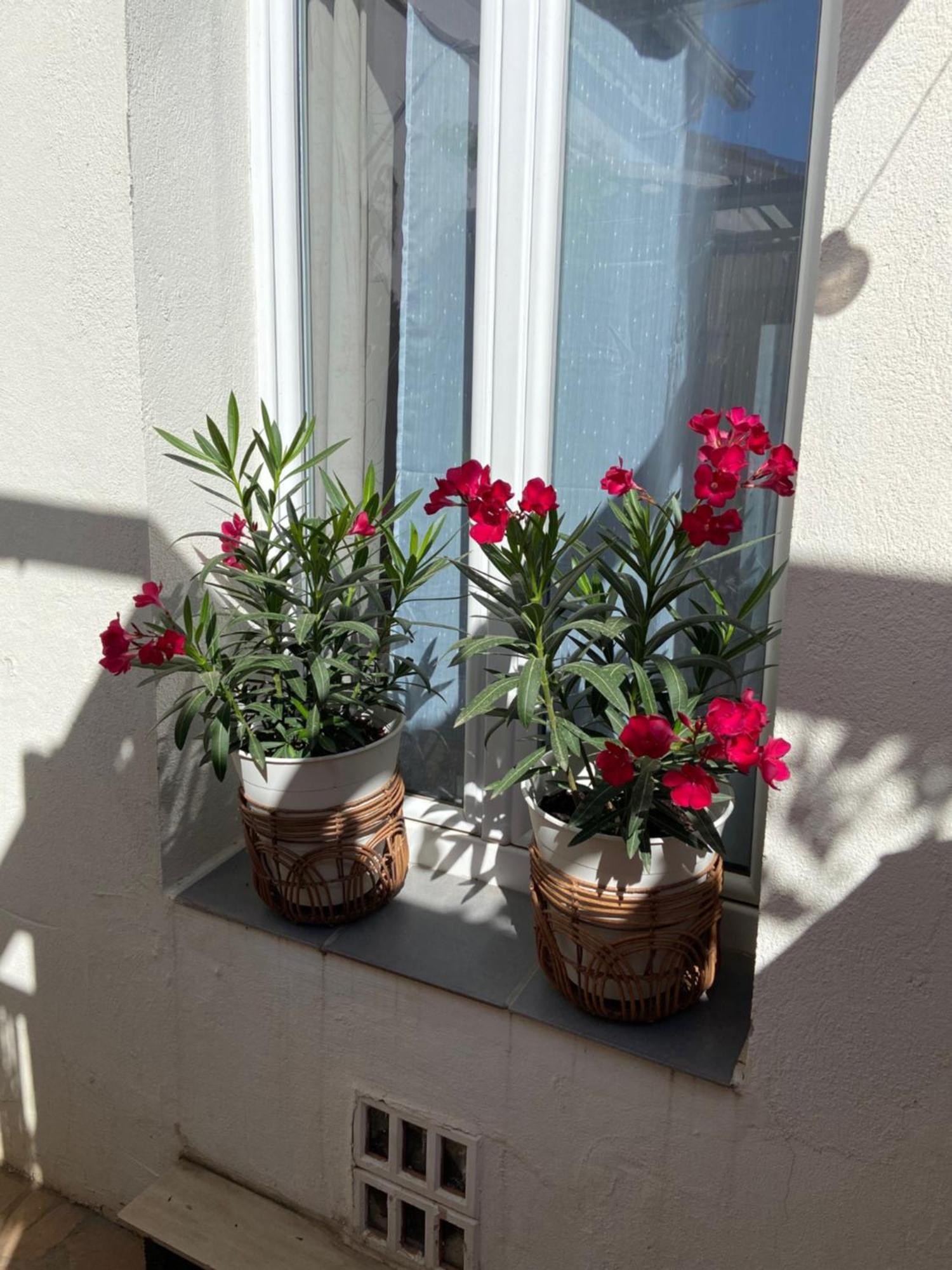 Stella Maris Bed & Breakfast Hyeres Room photo