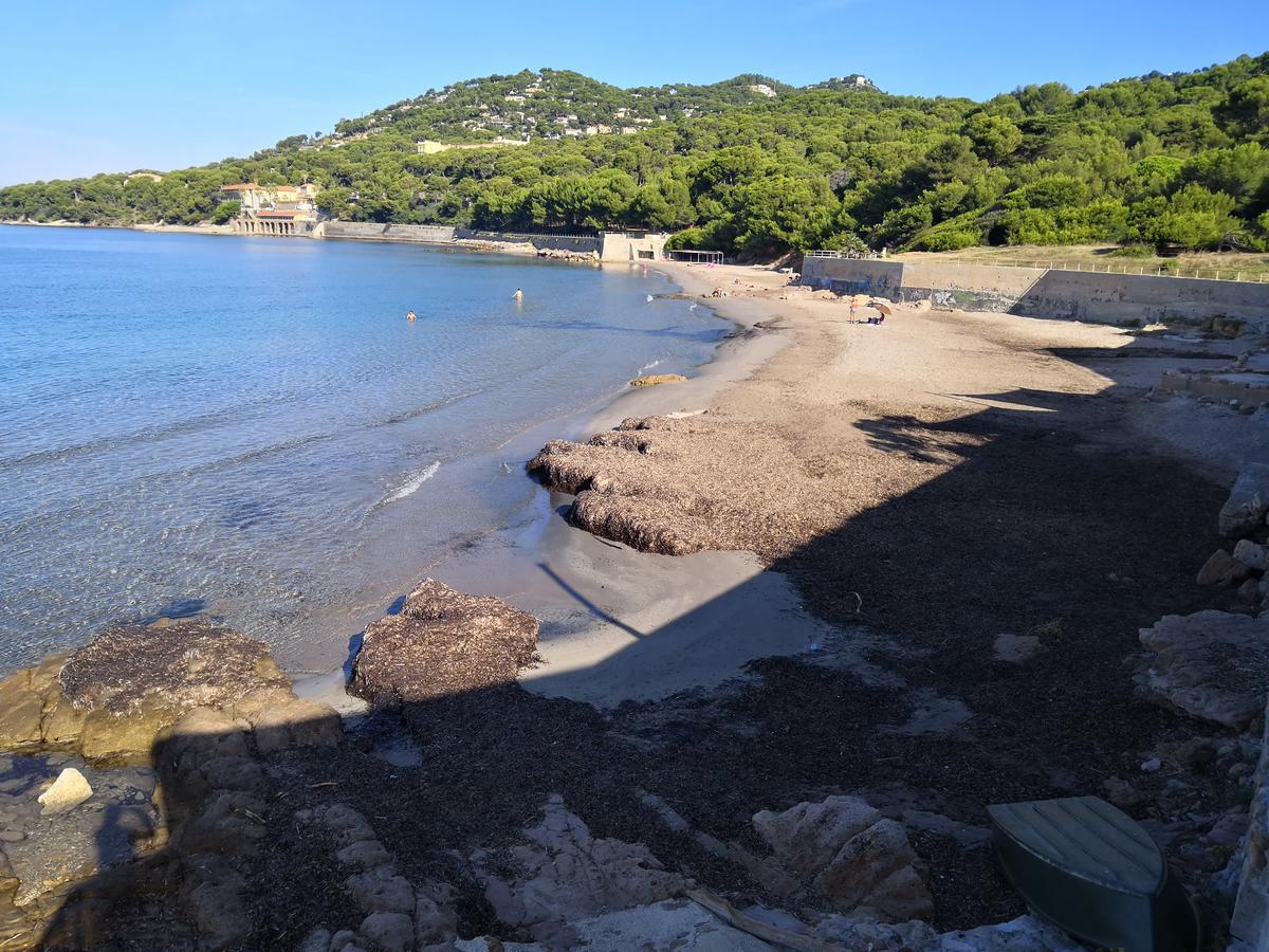 Stella Maris Bed & Breakfast Hyeres Exterior photo